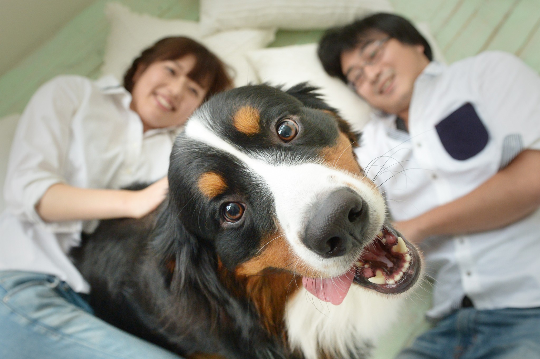 家族写真もとてもいい顔