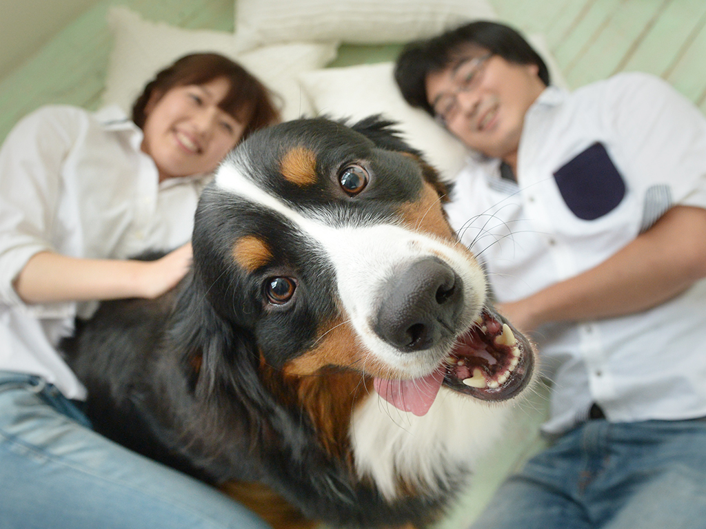 写真を見る度に幸せな気分になれます