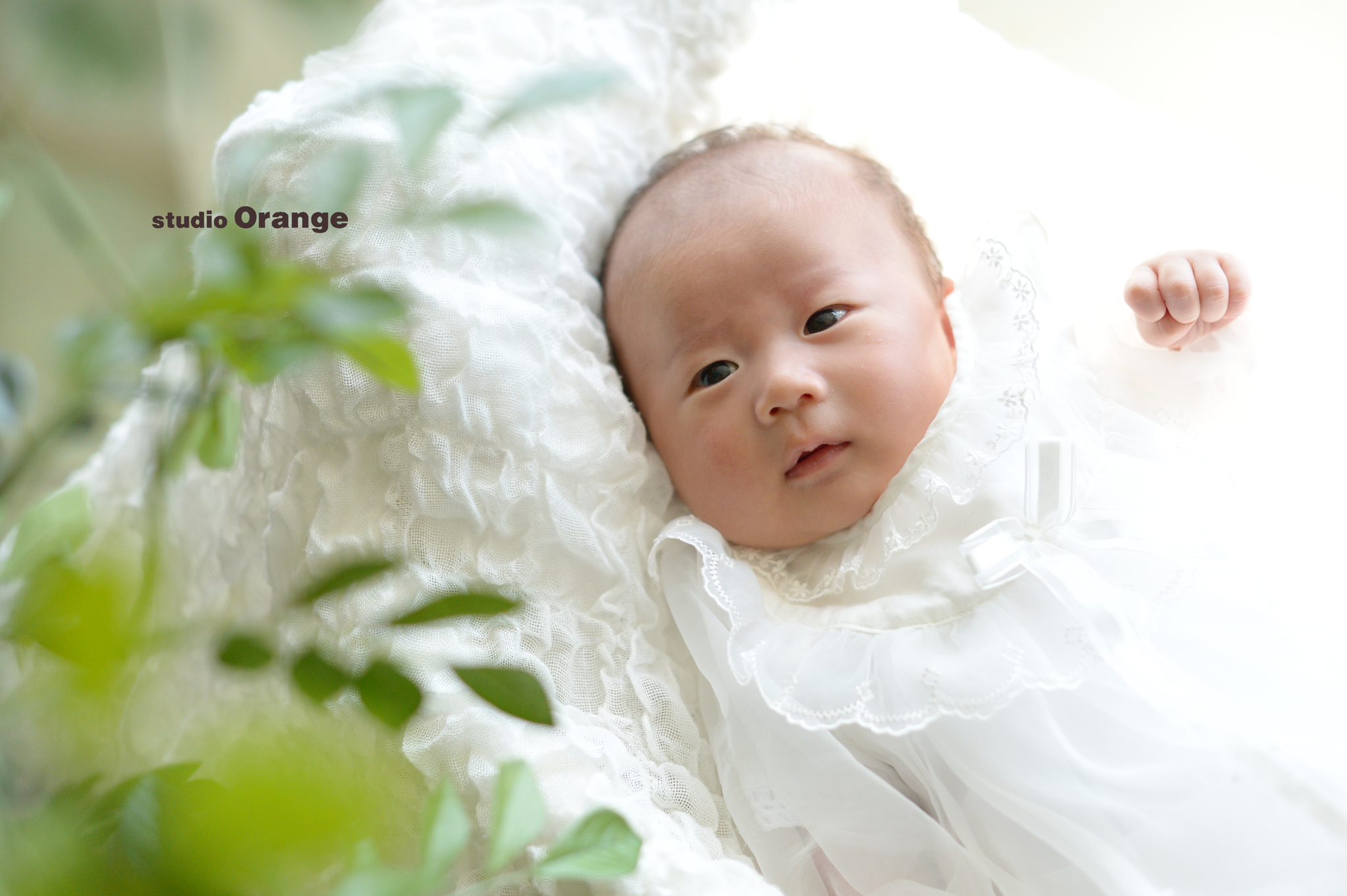 子供のために記念に残してあげたい
