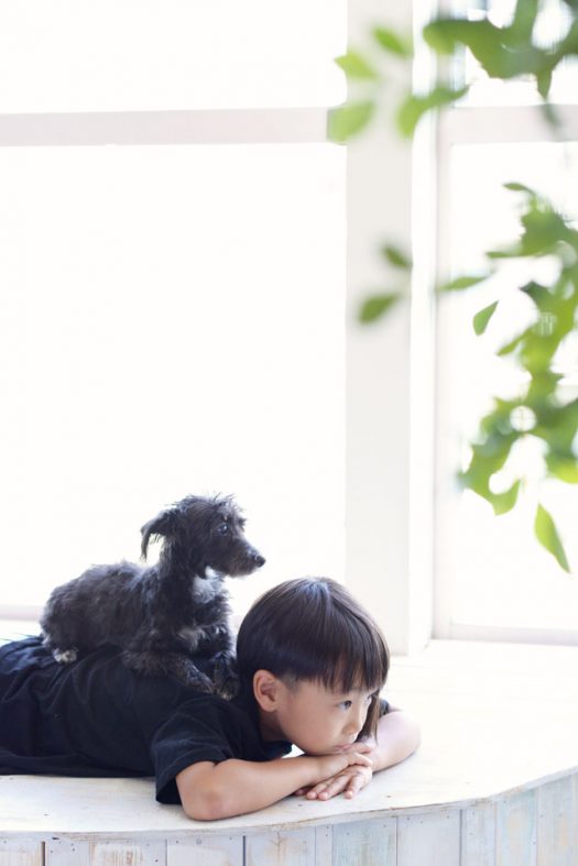 お誕生日　犬
