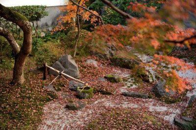 京都の紅葉