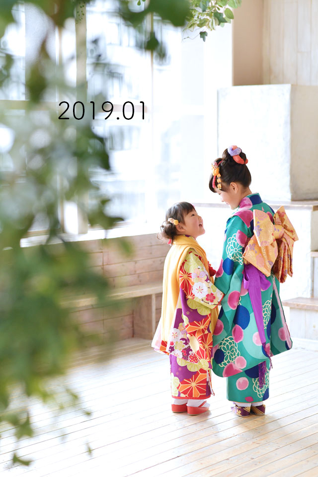 2019年1月
