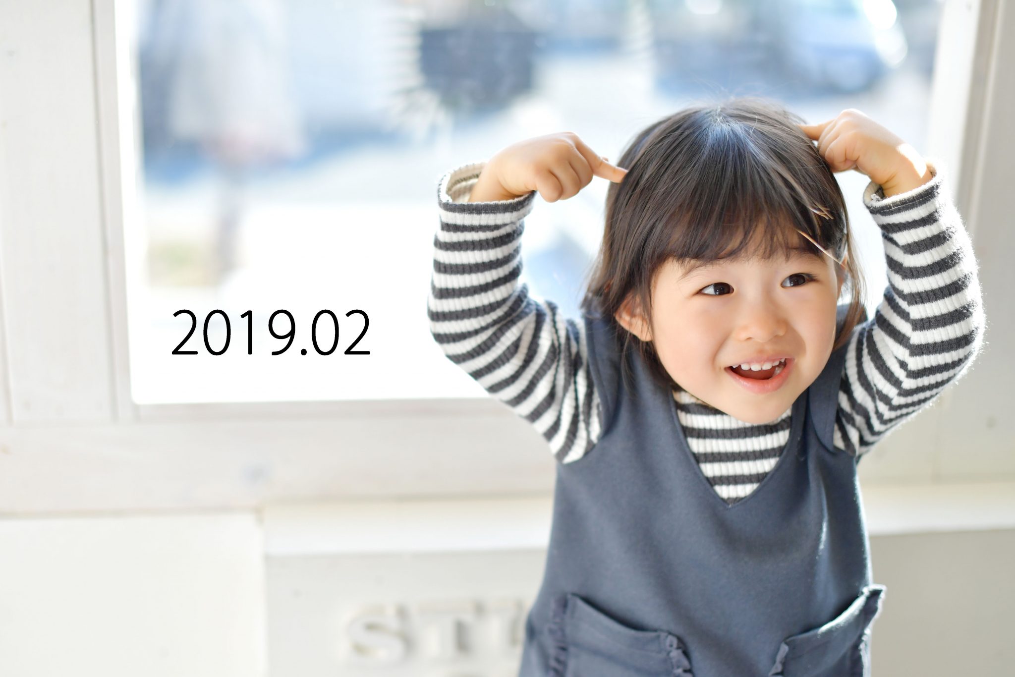2019年2月