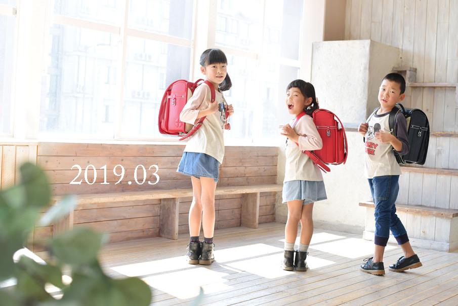 2019年3月
