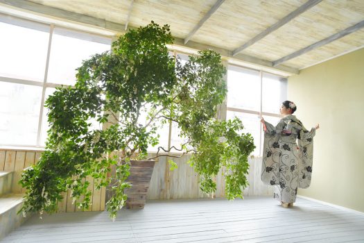 奈良市　成人　持ち込み着物