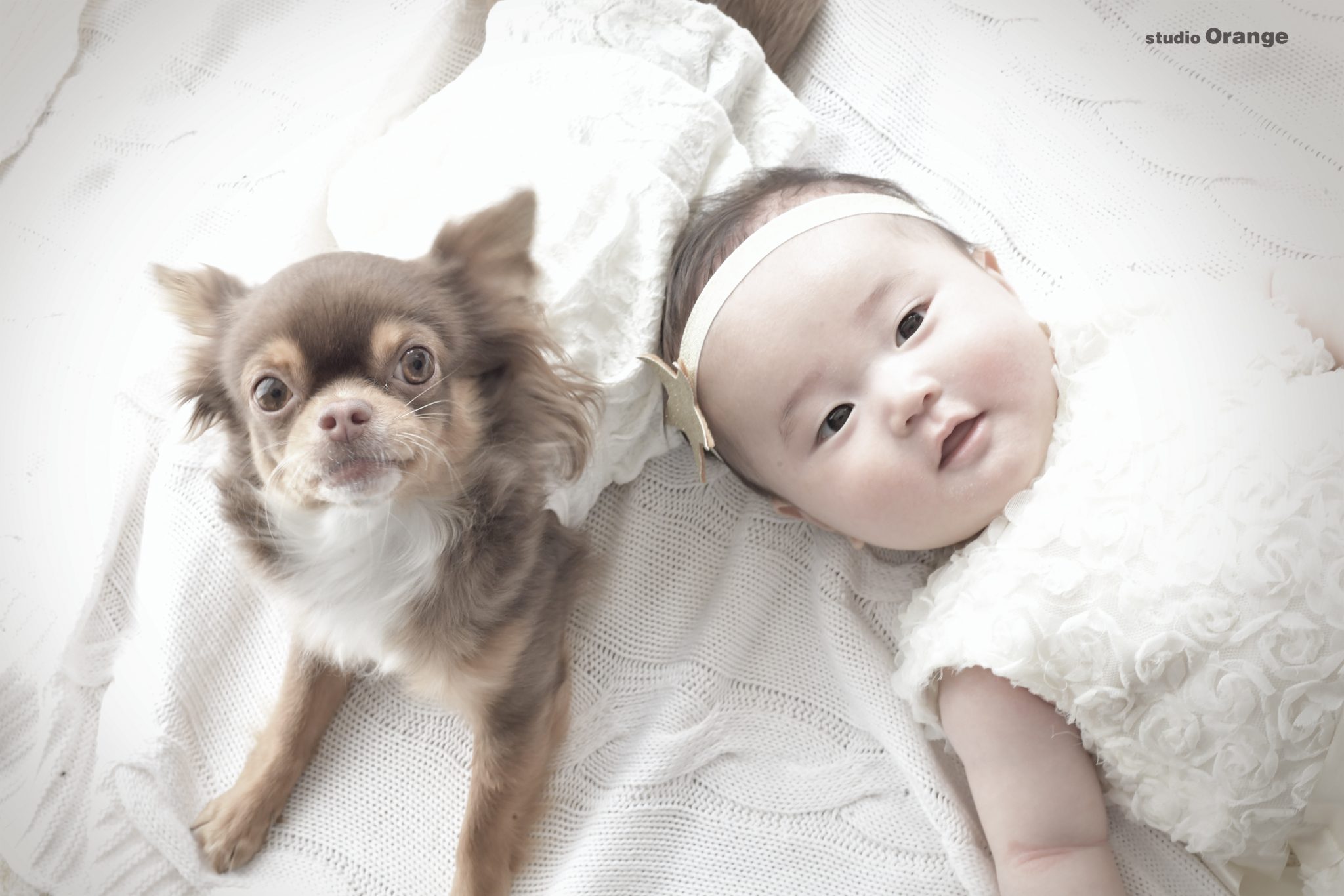 チワワちゃんと一緒のお宮参り撮影