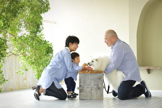 奈良市　生駒市　帝塚山　富雄　木津川市　精華町　スタジオレンジ　ペット　スピッツ　家族撮影