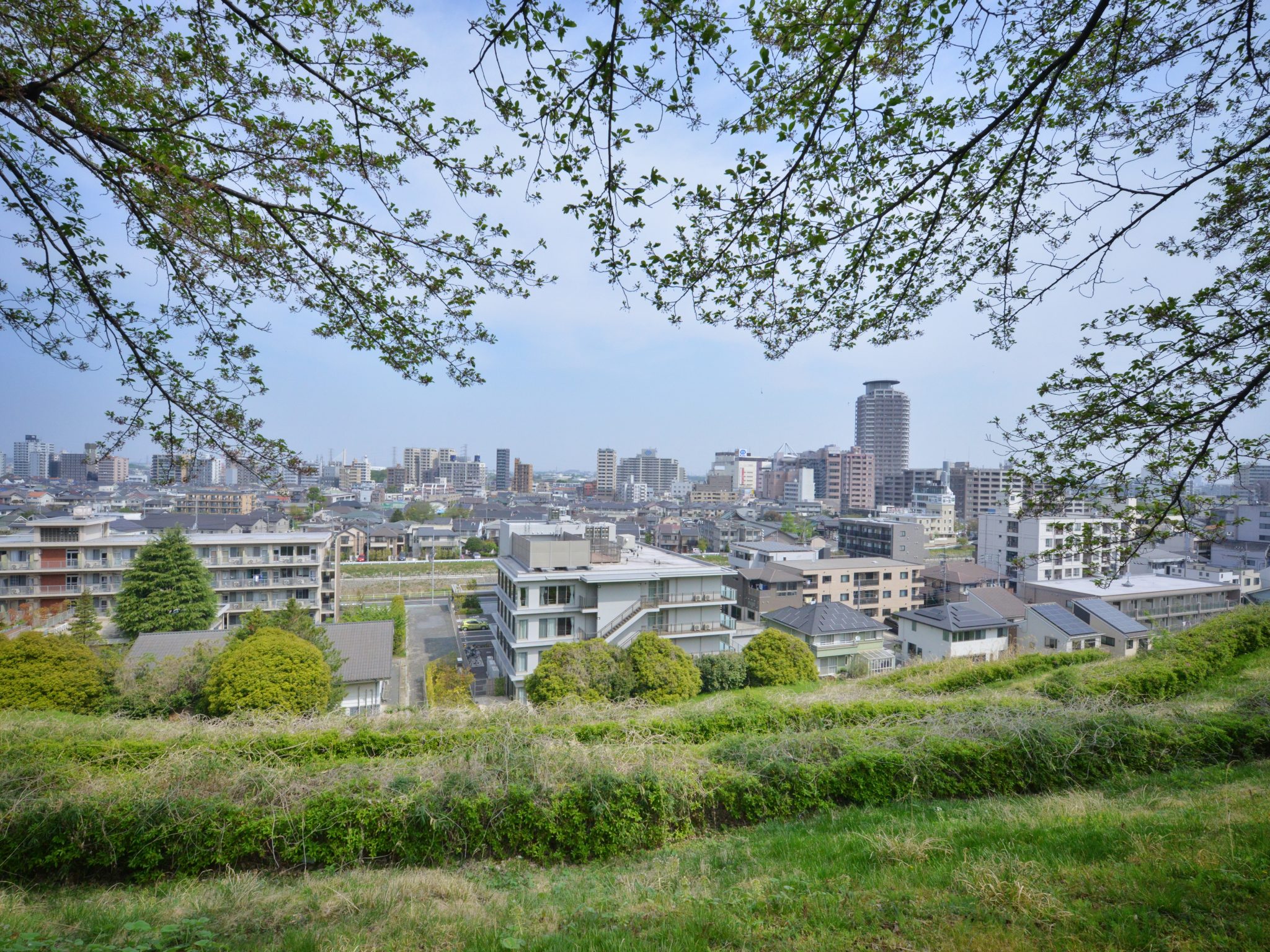 有水の弾丸東京旅行記vol.1