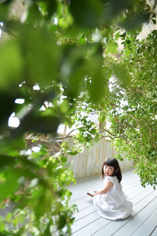 奈良市　生駒市　帝塚山　富雄　木津川市　精華町　登美ヶ丘　スタジオレンジ 写真館　フォトスタジオ　写真 春日大社　生駒大社　菅原天満宮　帯解寺　率川神社（いさがわじんじゃ）