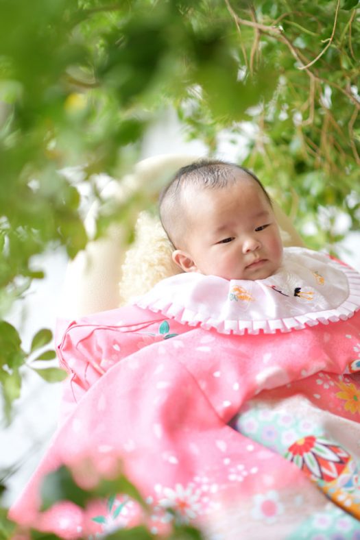 奈良市　生駒市　帝塚山　富雄　木津川市　精華町　登美ヶ丘　スタジオレンジ 写真館　フォトスタジオ　写真 春日大社　生駒大社　菅原天満宮　帯解寺　率川神社（いさがわじんじゃ）