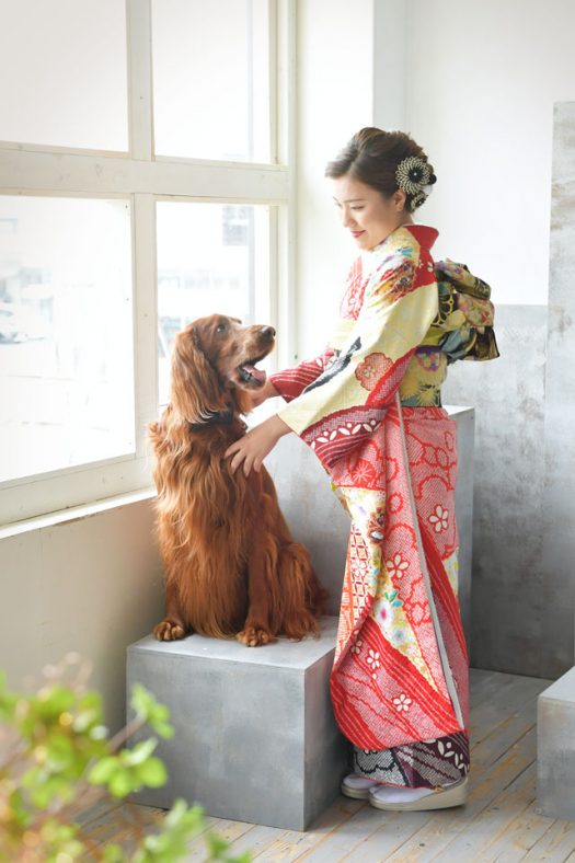 奈良市　生駒市　帝塚山　富雄　木津川市　精華町　登美ヶ丘　スタジオレンジ 写真館　フォトスタジオ　写真 春日大社　生駒大社　菅原天満宮　帯解寺　率川神社（いさがわじんじゃ） マタニティ　ニューボーン　バースデー　七五三