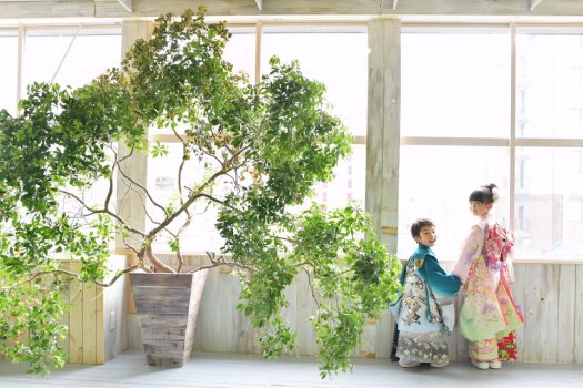 奈良市　生駒市　帝塚山　富雄　木津川市　精華町　登美ヶ丘　スタジオレンジ 写真館　フォトスタジオ　写真 春日大社　生駒大社　菅原天満宮　帯解寺　率川神社（いさがわじんじゃ）　七五三　入学入園卒業卒園　お誕生日　バースデーフォト 　1歳　家族撮影　ファミリーフォト