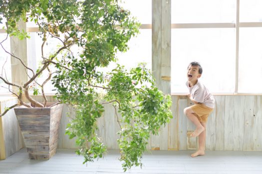 奈良市　生駒市　帝塚山　富雄　木津川市　精華町　登美ヶ丘　スタジオレンジ 写真館　フォトスタジオ　写真 春日大社　生駒大社　菅原天満宮　帯解寺　率川神社（いさがわじんじゃ）　七五三　入学入園卒業卒園　お誕生日　バースデーフォト 　1歳　家族撮影　ファミリーフォト　兄弟撮影　結婚記念日　ウェディングフォト　結婚式　前撮り　後撮り