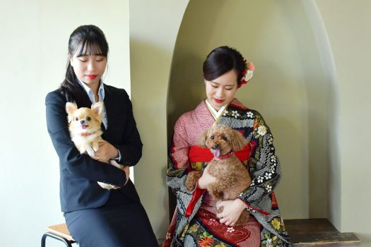 成人式　前撮り　後撮り　チワワ