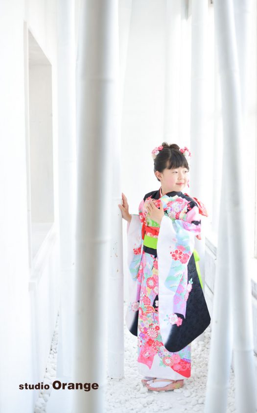 奈良　写真館