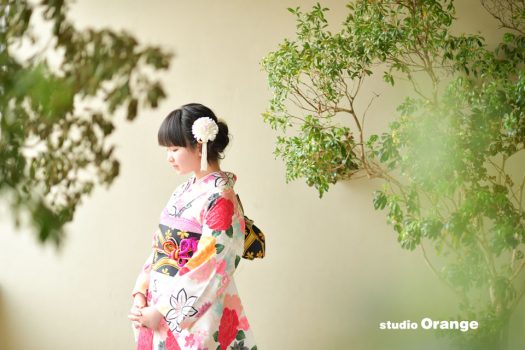 奈良　写真館