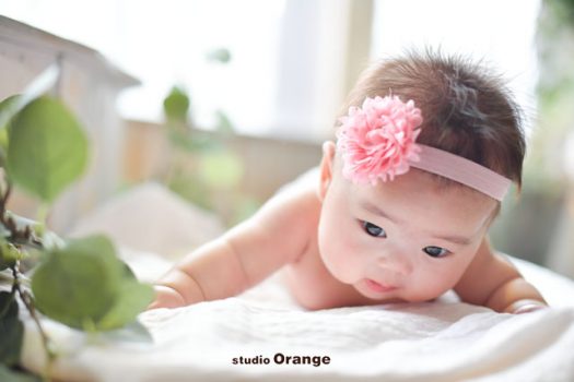 奈良　写真撮影