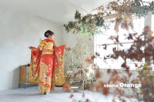 奈良　写真館