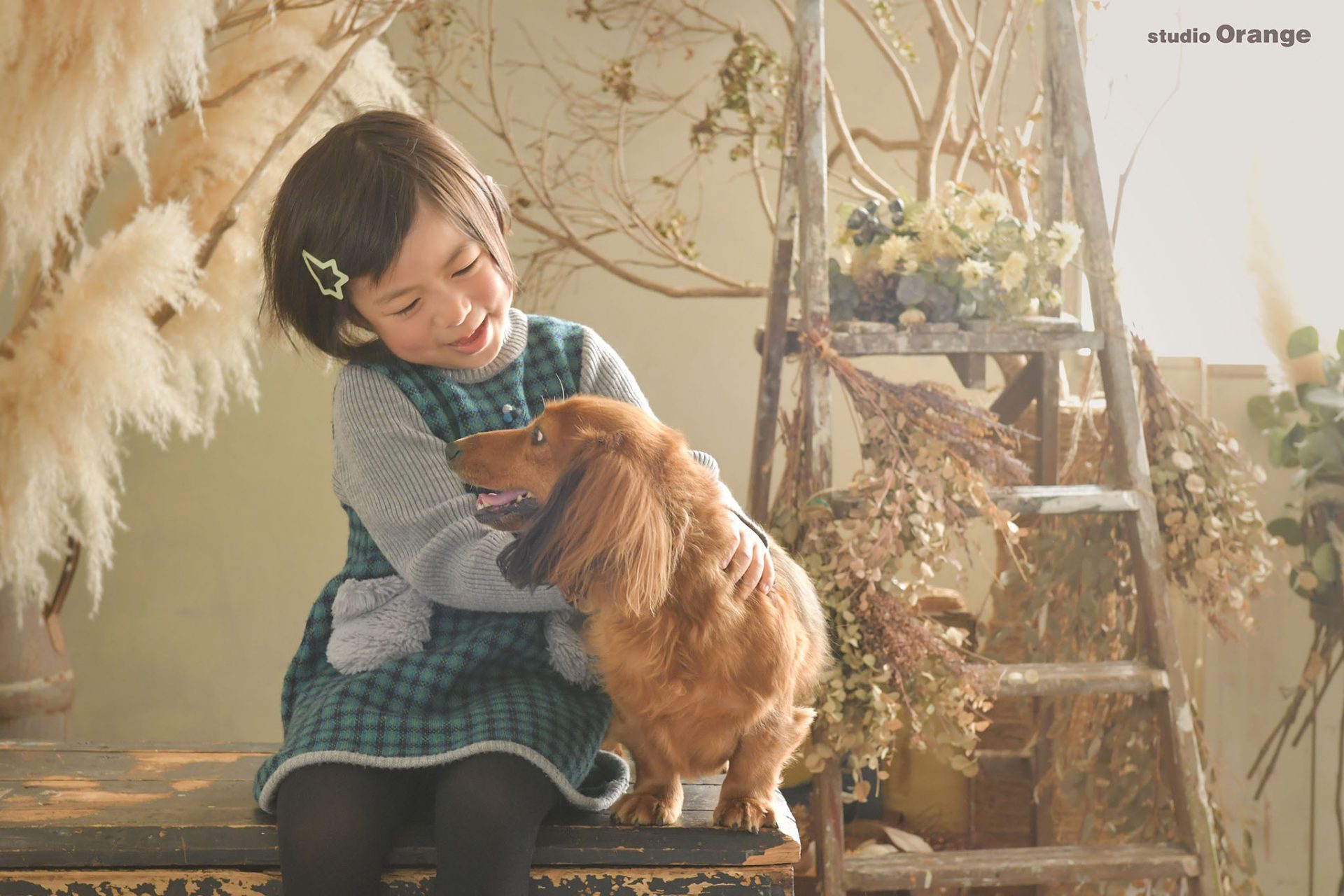 ペットのワンちゃんも一緒に！5歳女の子の賑やかなお誕生日撮影