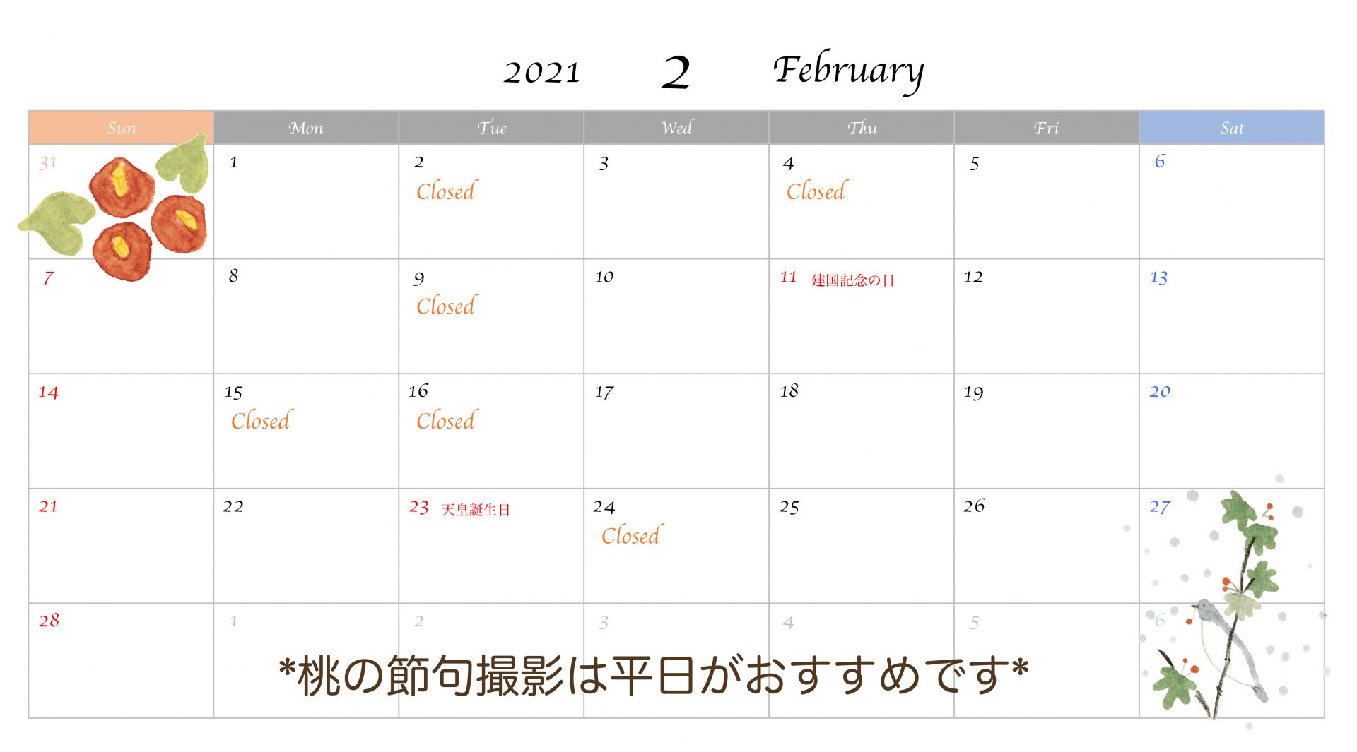 2021年2月のスケジュール｜桃の節句キャンペーン中