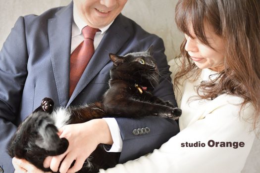 フォトスタジオ　写真館　ペット　ペット撮影　猫　にゃんこ　cat　奈良市　学園前　生駒　大和郡山市　精華町　木津川市