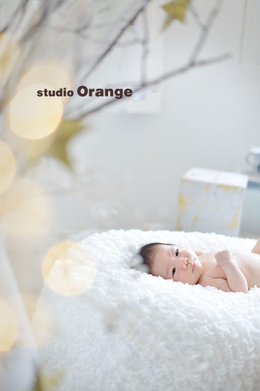 フォトスタジオ　写真館　バースデー　お誕生日　洋装　スーツ　ドレス　私服　１人写し　兄弟写し　姉妹写し　兄妹写し　姉弟写し　奈良市　学園前　生駒　大和郡山市　精華町　木津川市