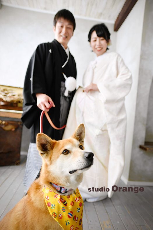 フォトウェディング　新郎新婦　スタジオ　写真館　スタジオオレンジ　奈良店　写真だけの　結婚式　写真だけの結婚式　ペット撮影　犬と　写真館　