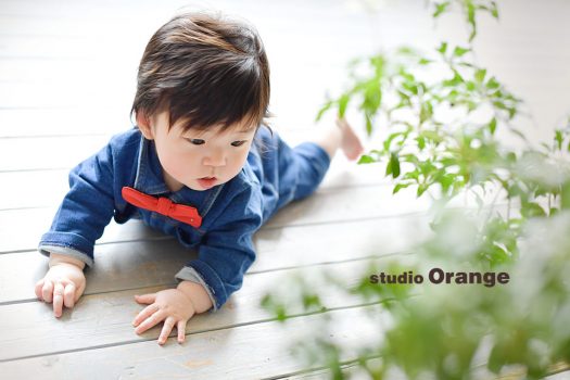 奈良県　奈良市　写真　写真館　オレンジ　スタジオ　スタジオオレンジ　フォト　フォトスタジオ　Photo 子供　大人　バースデー　赤ちゃん　七五三　成人式　入学　卒業