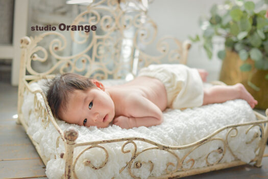 奈良県　奈良市　写真　写真館　オレンジ　スタジオ　スタジオオレンジ　フォト　フォトスタジオ　Photo 子供　大人　バースデー　赤ちゃん　七五三　成人式　入学　卒業　お宮参り　お誕生日　バースデー　着物　家族写真