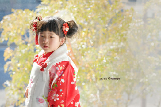 奈良県　奈良市　写真　写真館　オレンジ　スタジオ　スタジオオレンジ　フォト　フォトスタジオ　Photo 子供　大人　バースデー　お宮参り　赤ちゃん　七五三　成人式　入学　卒業　ブライダル　結婚式　写真だけの結婚式　フォトウェディング　ウェディング　袴　振袖　ドレス　打掛　白無垢　色打掛　　
