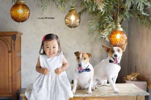 奈良県　奈良市　写真　写真館　オレンジ　スタジオ　スタジオオレンジ　フォト　フォトスタジオ　Photo 子供　大人　バースデー　お宮参り　赤ちゃん　七五三　成人式　入学　卒業　ブライダル　結婚式　写真だけの結婚式　フォトウェディング　ウェディング　袴　振袖　ドレス　打掛　白無垢　色打掛　　