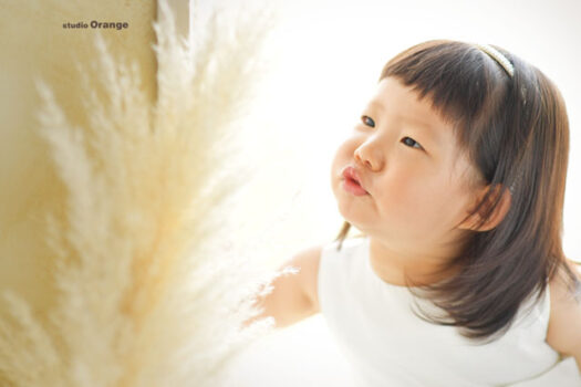 奈良県　奈良市　写真　写真館　オレンジ　スタジオ　スタジオオレンジ　フォト　フォトスタジオ　Photo 子供　大人　バースデー　お宮参り　赤ちゃん　七五三　成人式　入学　卒業　ブライダル　結婚式　写真だけの結婚式　フォトウェディング　ウェディング　袴　振袖　ドレス　打掛　白無垢　色打掛　　