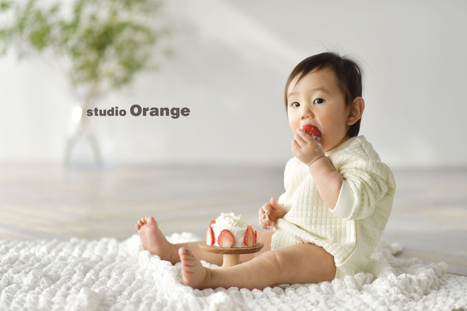 初めてのお誕生日写真撮影!おすすめ持ち込みアイテム紹介