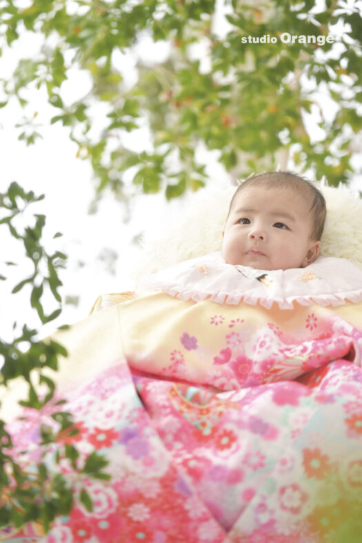 奈良県　奈良市　写真　写真館　オレンジ　スタジオ　スタジオオレンジ　フォト　フォトスタジオ　Photo 子供　大人　バースデー　お宮参り　赤ちゃん　七五三　成人式　入学　卒業　ブライダル　結婚式　写真だけの結婚式　フォトウェディング　ウェディング　袴　振袖　ドレス　打掛　白無垢　色打掛　　