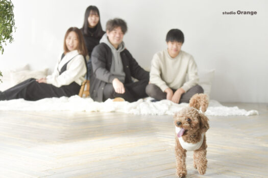 奈良県　奈良市　写真　写真館　オレンジ　スタジオ　スタジオオレンジ　フォト　フォトスタジオ　Photo 子供　大人　バースデー　お宮参り　赤ちゃん　七五三　成人式　入学　卒業　ブライダル　結婚式　写真だけの結婚式　フォトウェディング　ウェディング　袴　振袖　ドレス　打掛　白無垢　色打掛　　