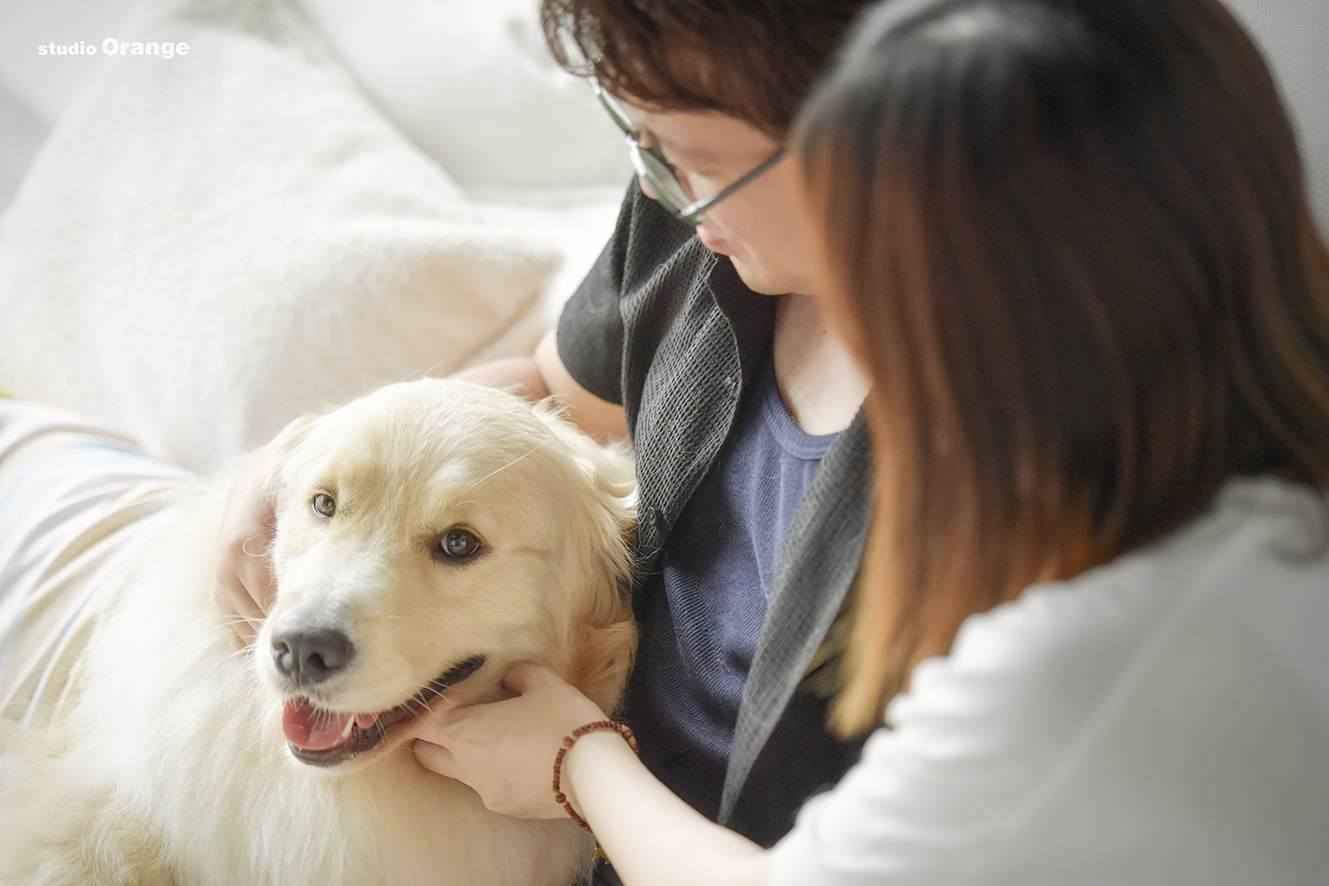 大型犬も大歓迎！犬との様々な家族写真をご紹介