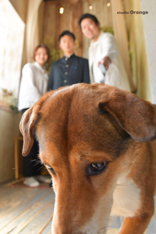 奈良県　奈良市　写真　写真館　フォトスタジオオレンジ　七五三　兄妹　バースデー　バースデーフォト　成人式　成人式前撮り　お宮参り　