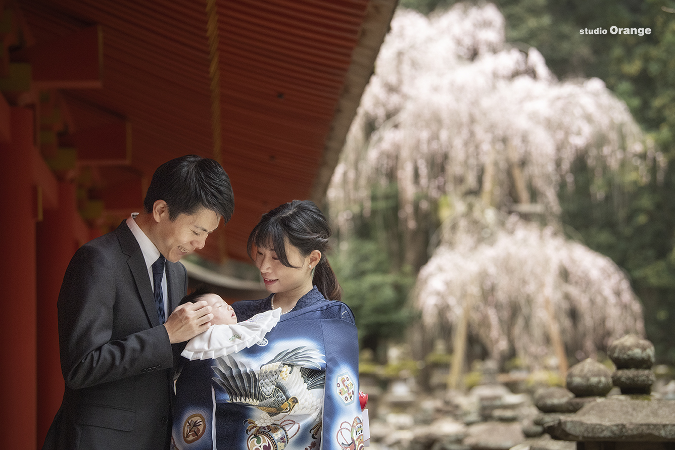 春日大社の枝垂れ桜が開花しました！お宮参り出張写真撮影まだ予約間に合います