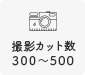 カット数300~500