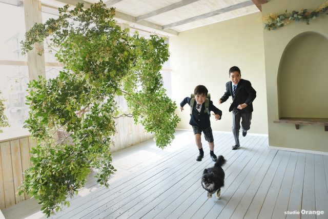 チワワと一緒　兄弟撮影　小学校入学　緑のランドセル