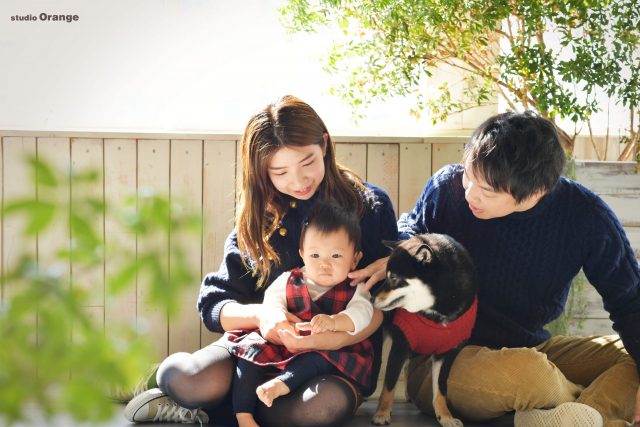家族写真　ペット　ペットフォト　赤ちゃん　スタジオ　奈良　写真館　スタジオオレンジ　柴犬　犬