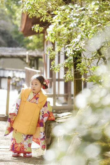 奈良市の写真館スタジオオレンジが撮影した七五三撮影　出張撮影　ロケーションフォト