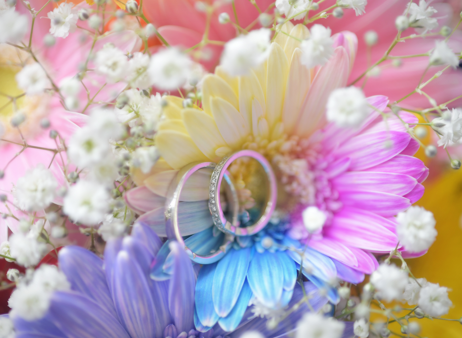 奈良市の写真館スタジオオレンジで撮影したウェディングフォト 結婚指輪 カラフルブーケ