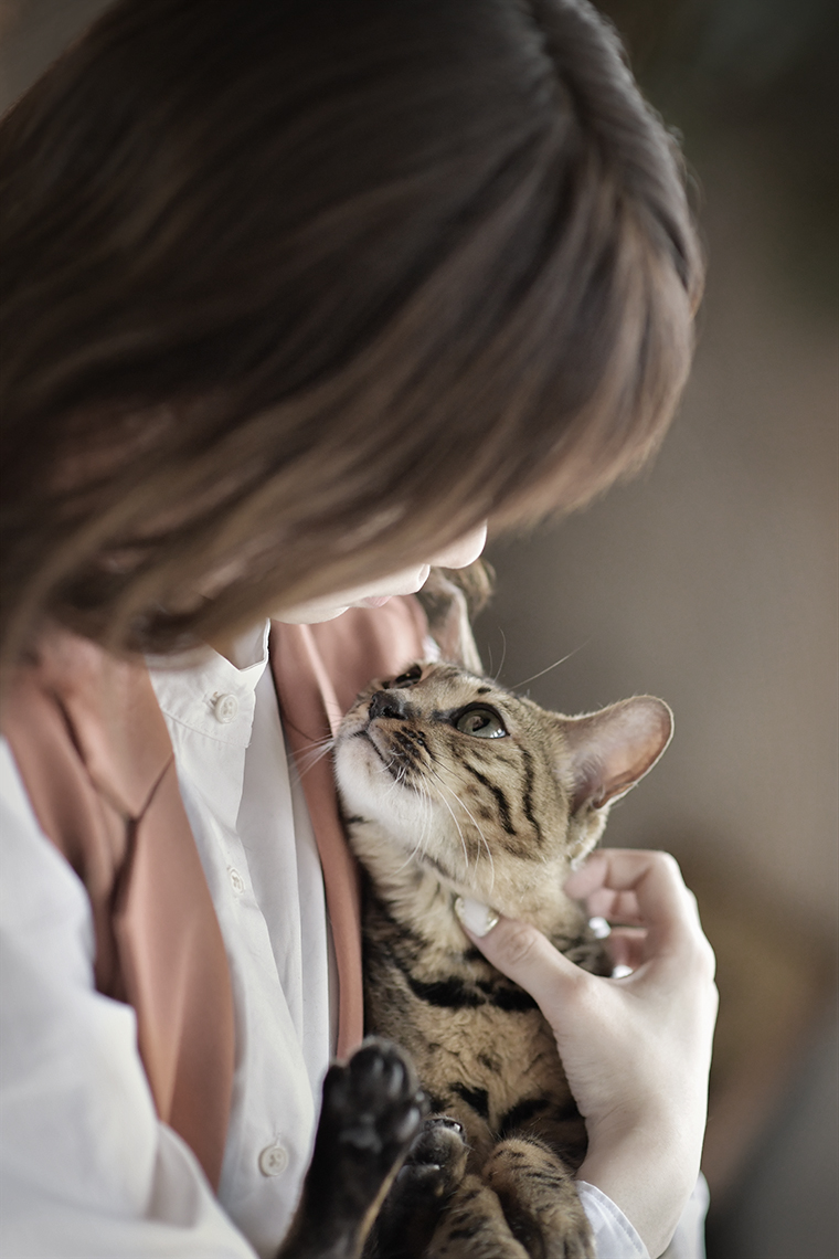 ペットフォト 猫 ベンガル