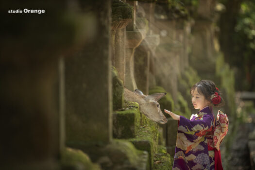 春日大社で撮影したお宮参り写真撮影　家族写真　3ヶ月女の子　灯篭の参道　奈良の鹿