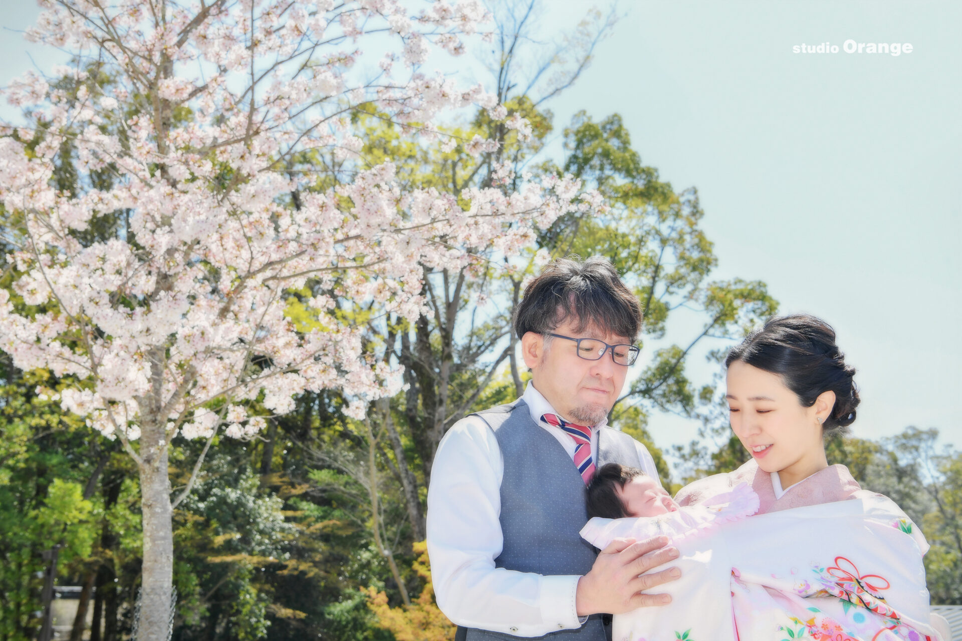 春日大社で撮影した桜と一緒の写真　お宮参り家族写真　3ヶ月女の子のお宮鞠の様子