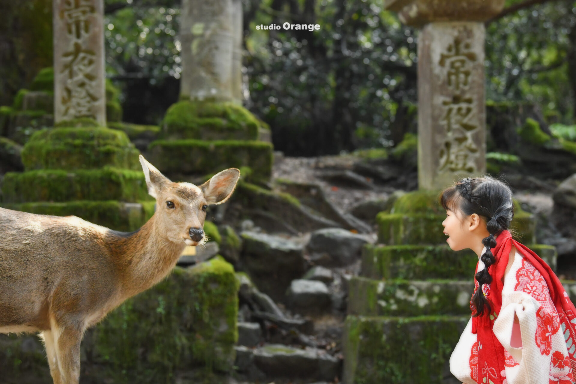 春日大社で3歳女の子の七五三ロケーション撮影　赤い着物でたまねぎヘアの七五三　奈良の鹿と一緒に撮影