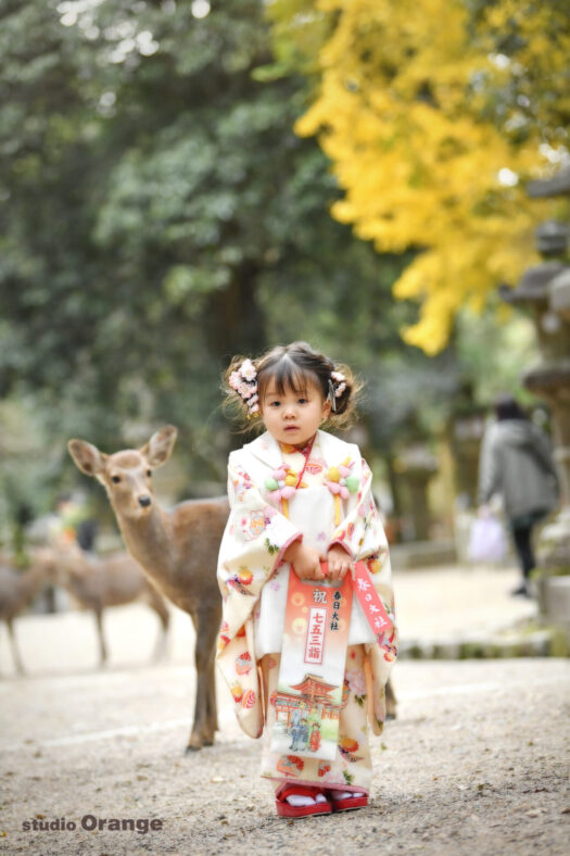 春日大社で3歳女の子の七五三撮影　黄色い着物の七五三写真　紅葉と奈良の鹿と一緒に撮影