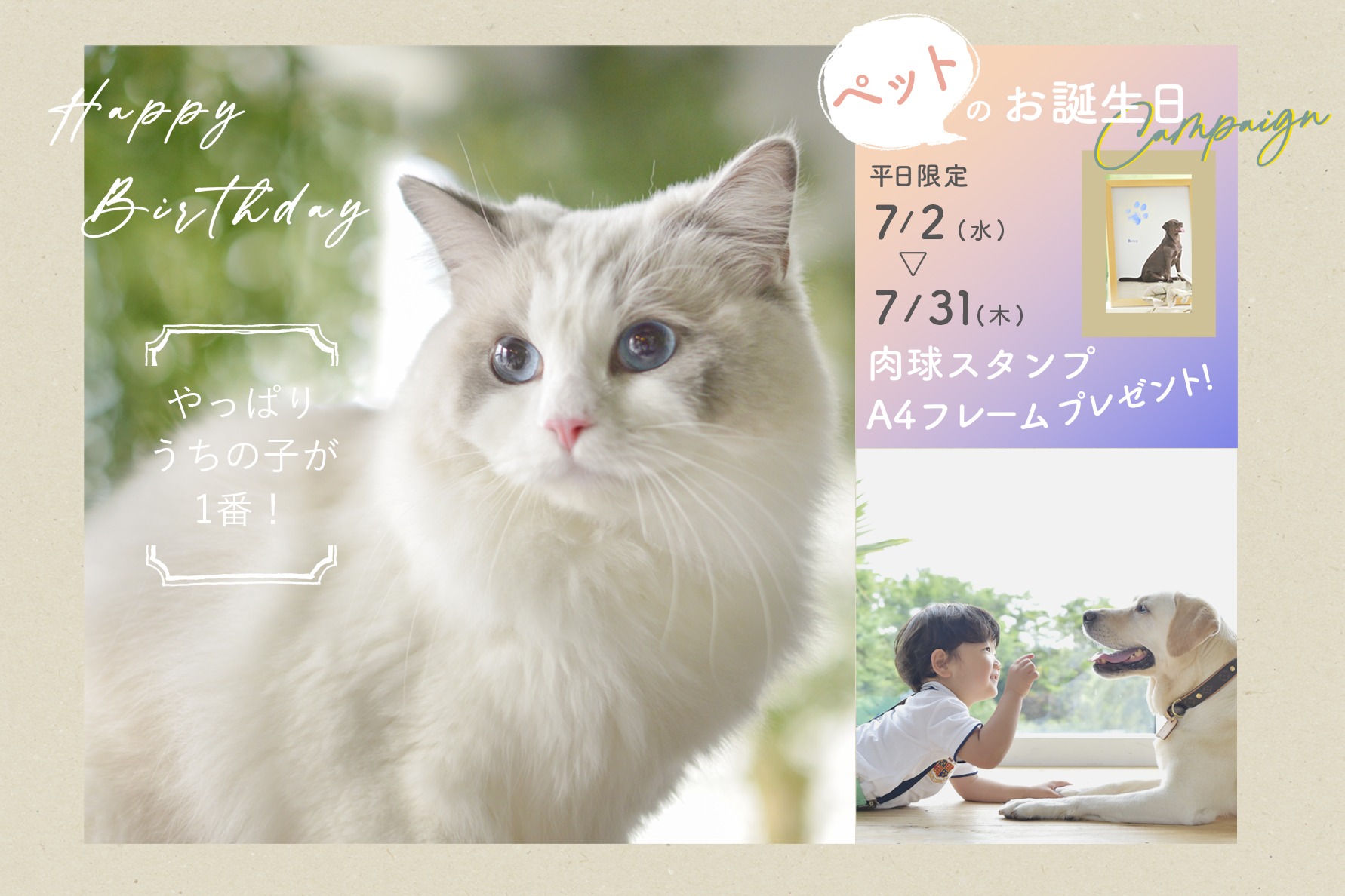やっぱりうちの子が一番可愛い！ペットのお誕生日撮影キャンペーン