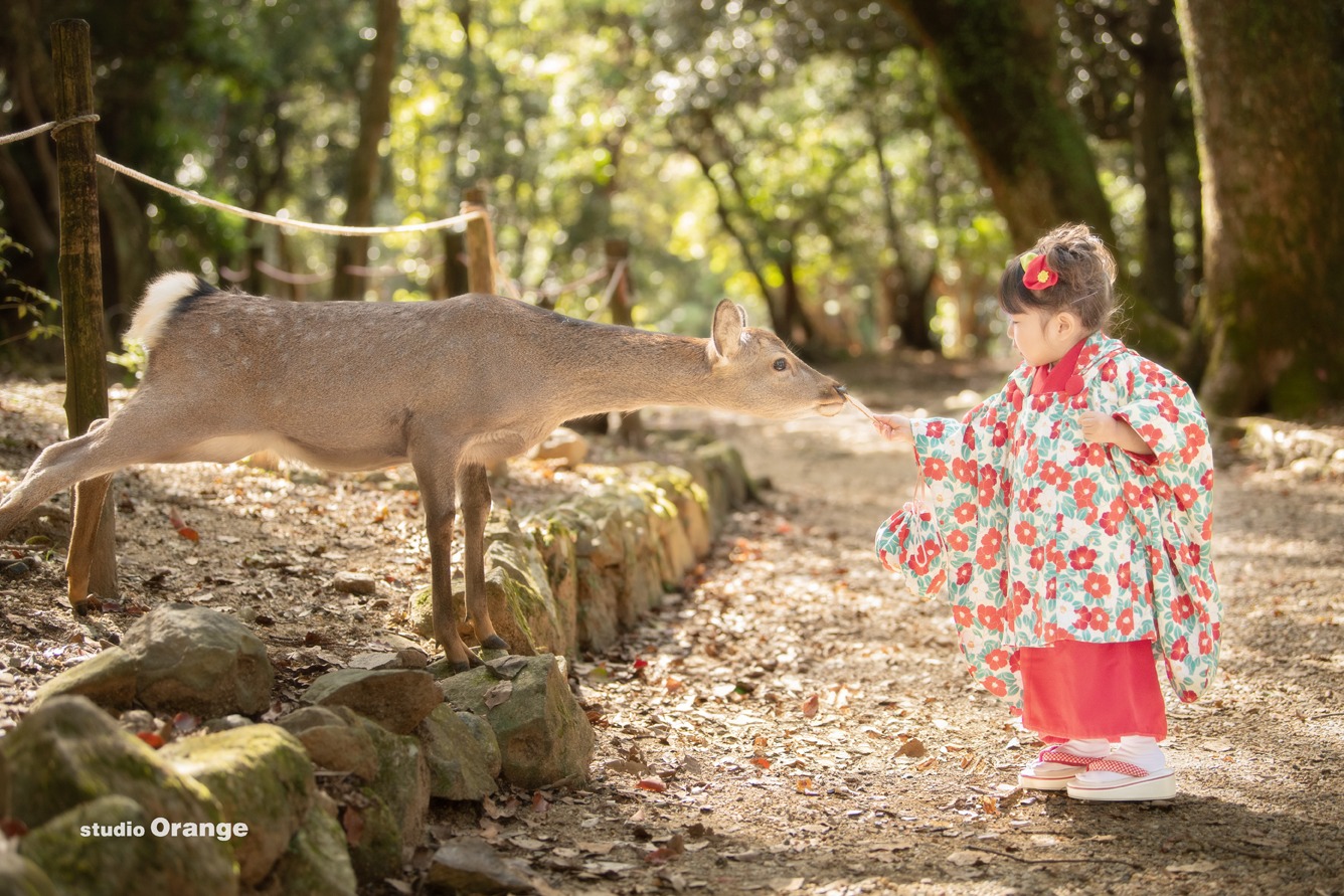 春日大社で鹿に鹿せんべいを上げる赤い着物をきた3際の女の子